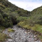  Ecuador